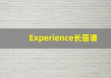 Experience长笛谱