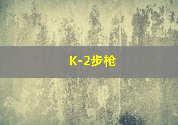 K-2步枪