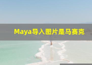 Maya导入图片是马赛克