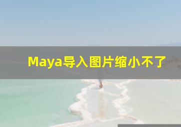 Maya导入图片缩小不了