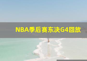 NBA季后赛东决G4回放