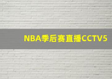 NBA季后赛直播CCTV5