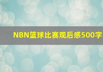 NBN篮球比赛观后感500字