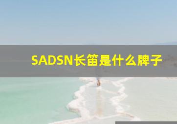 SADSN长笛是什么牌子