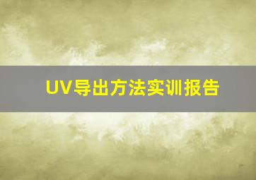 UV导出方法实训报告