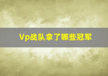 Vp战队拿了哪些冠军