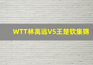 WTT林高远VS王楚钦集锦