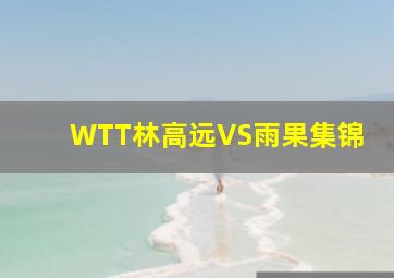 WTT林高远VS雨果集锦