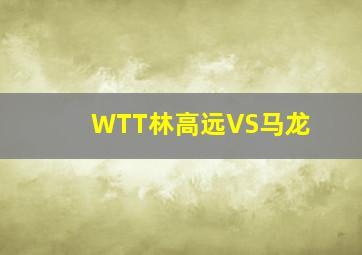 WTT林高远VS马龙