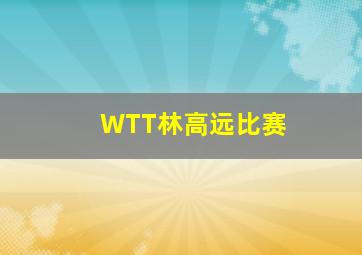 WTT林高远比赛