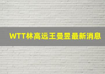 WTT林高远王曼昱最新消息