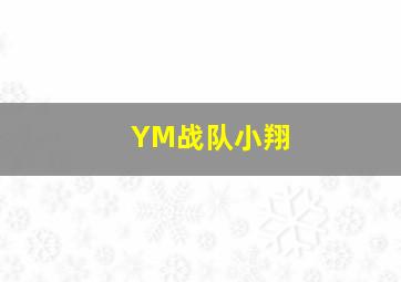 YM战队小翔