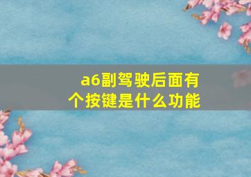 a6副驾驶后面有个按键是什么功能