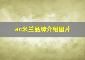 ac米兰品牌介绍图片