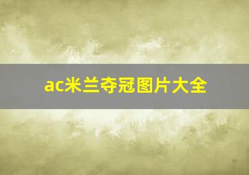 ac米兰夺冠图片大全