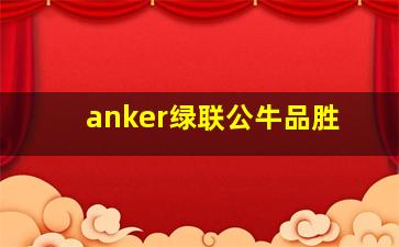 anker绿联公牛品胜