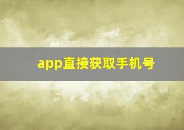 app直接获取手机号