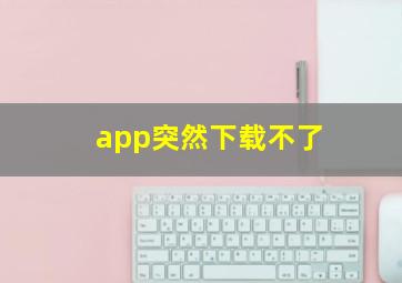 app突然下载不了