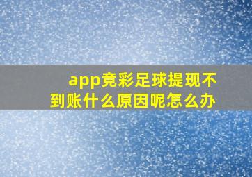 app竞彩足球提现不到账什么原因呢怎么办