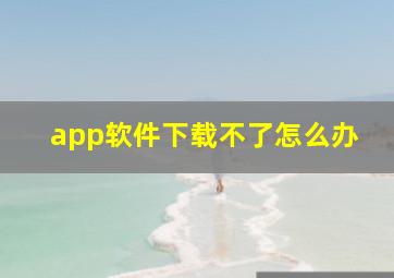 app软件下载不了怎么办