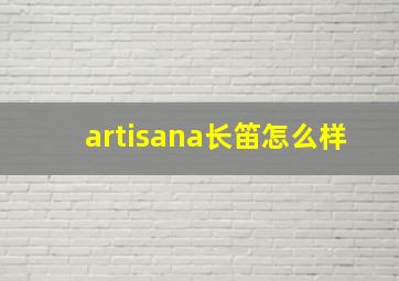 artisana长笛怎么样