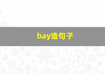 bay造句子