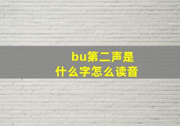 bu第二声是什么字怎么读音