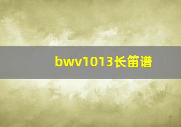 bwv1013长笛谱