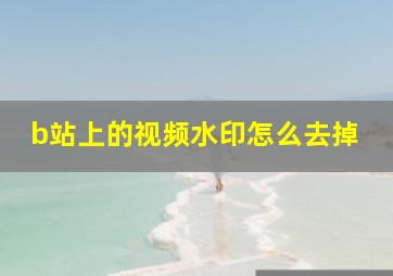 b站上的视频水印怎么去掉