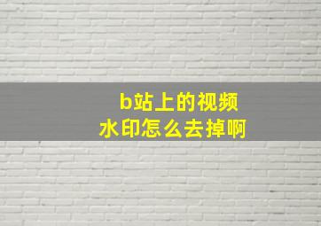 b站上的视频水印怎么去掉啊