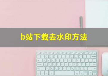 b站下载去水印方法