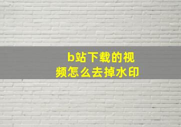 b站下载的视频怎么去掉水印