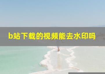 b站下载的视频能去水印吗