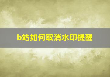 b站如何取消水印提醒