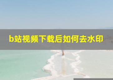 b站视频下载后如何去水印