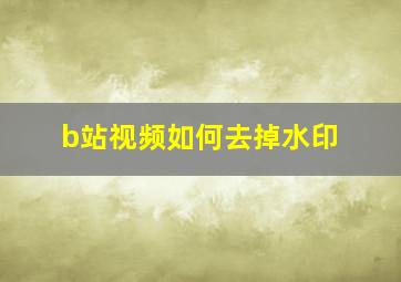 b站视频如何去掉水印