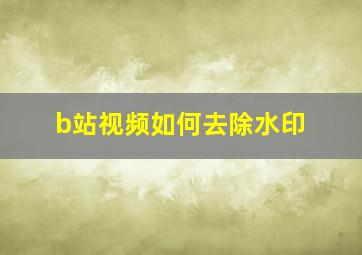 b站视频如何去除水印