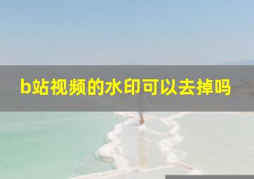 b站视频的水印可以去掉吗