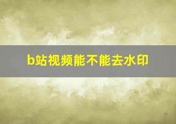 b站视频能不能去水印