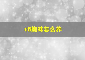 c8蜘蛛怎么养