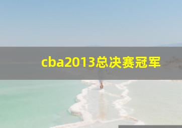 cba2013总决赛冠军