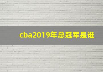 cba2019年总冠军是谁