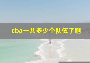 cba一共多少个队伍了啊