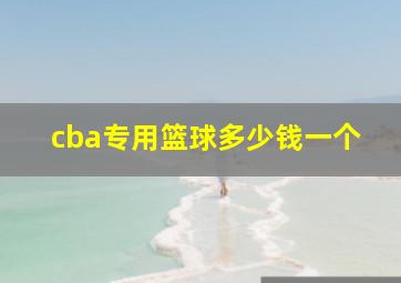 cba专用篮球多少钱一个