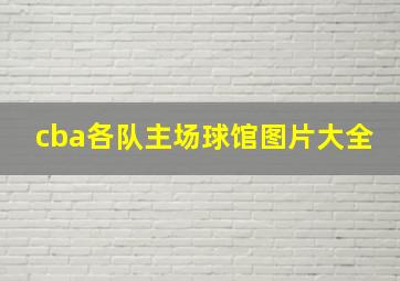 cba各队主场球馆图片大全