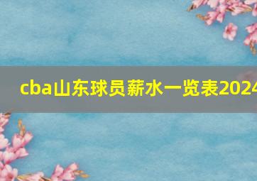 cba山东球员薪水一览表2024