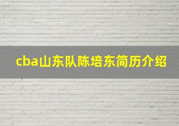 cba山东队陈培东简历介绍