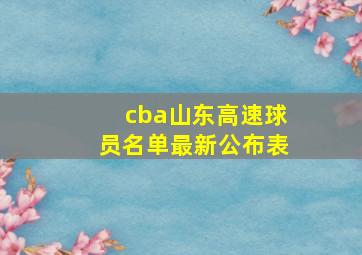 cba山东高速球员名单最新公布表