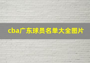 cba广东球员名单大全图片