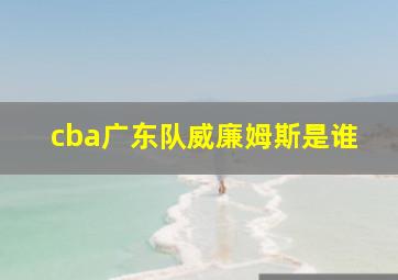 cba广东队威廉姆斯是谁